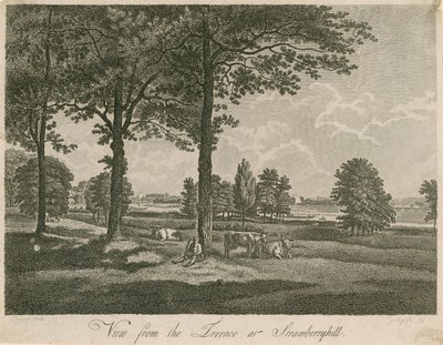 Udsigt fra terrassen i Strawberry Hill, London af William Pars