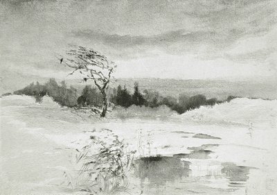 Landskab med vand og forblæst træ af William Parsons Winchester  Dana