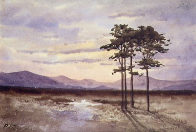 Sunset, County Sligo (akvarel på papir) af William Percy French