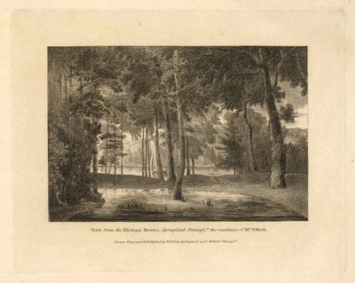 The County Seats i Nordamerikas Forenede Stater, sæt med 20 plader, introduktionstekst og 2 forsideark af William Russell Birch