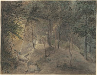 Udsigt fra Springhouse ved Echo af William Russell Birch