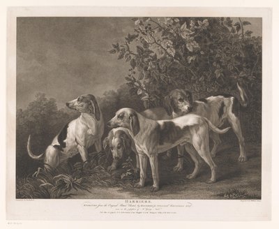 Fire jagthunde Harriers (titel på objekt) af William Satchwell Leney