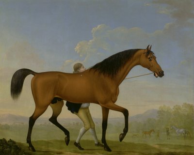 Hertugen af Ancasters Bay-hingsten, blank, går mod en hoppe af William Shaw