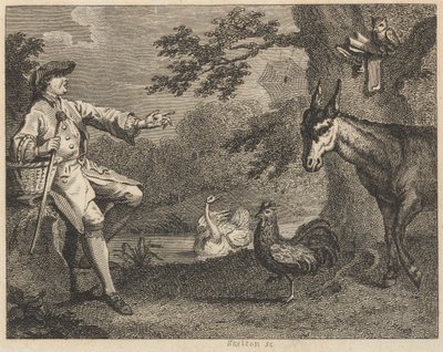 Uglen, svanen, hanen, edderkoppen, æselen og bonden af William Skelton
