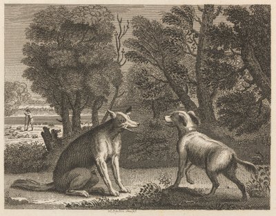 Hyrdehunden og ulven af William Skelton