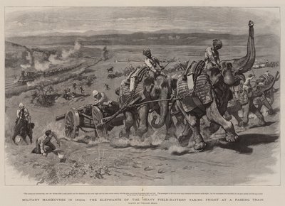 Militære manøvrer i Indien, elefanterne fra det tunge felt-batteri, der skræmmer ved et forbipasserende tog af William Small