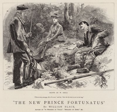 Den nye prins Fortunatus af William Small