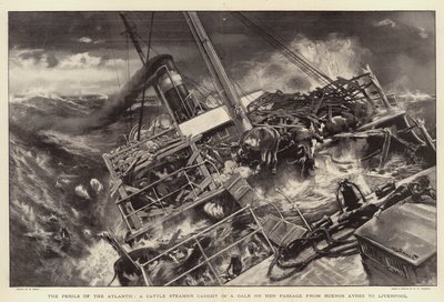 The Perils of the Atlantic, en kvægdamper fanget i kuling på sin passage fra Buenos Ayres til Liverpool af William Small