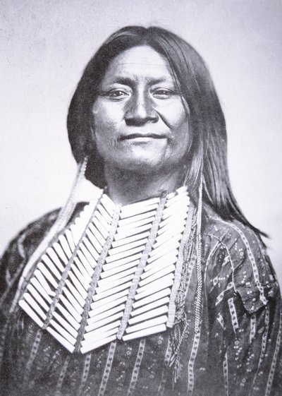 Comanche stammemand af William Soule