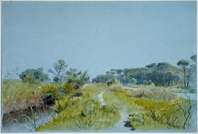  af William Stanley Haseltine