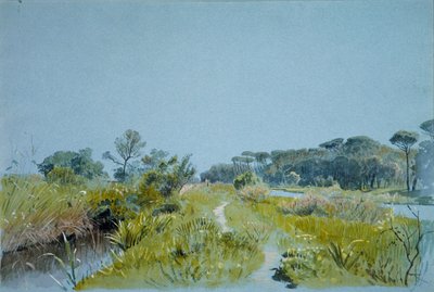 Castel FusanoNær Rom, ca. 1885. af William Stanley Haseltine