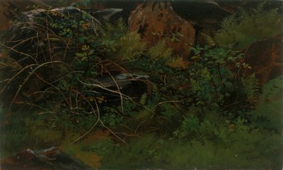 Studie fra naturen. af William Stanley Haseltine