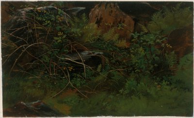  af William Stanley Haseltine