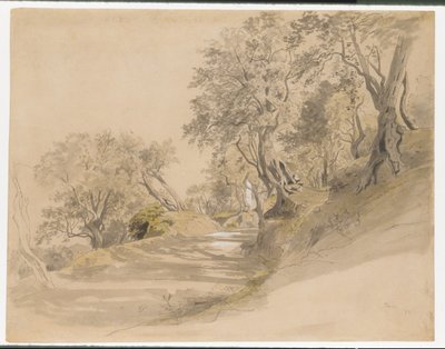  af William Stanley Haseltine