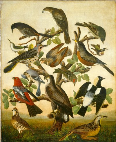 Birds, ca. 1840 (olie på lærred) af William Stephen Coleman