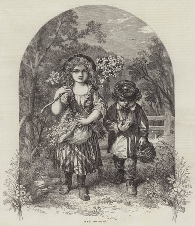 Kan af William Stephen Coleman