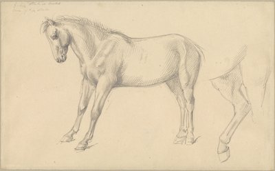 Studier af en pony af William Strutt