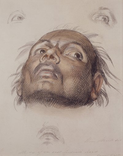 Studie af en østindians hoved, ca. 1875 (farveblyant og vask på papir) af William Strutt