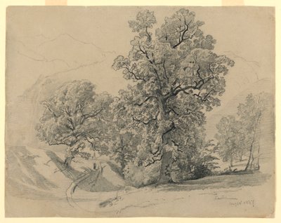 Landskab, Lauterbrunnen, Schweiz af William Trost Richards