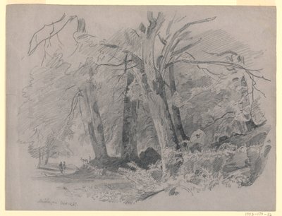 Landskab, Meiringen, Schweiz af William Trost Richards