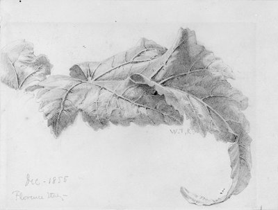 Blade af William Trost Richards