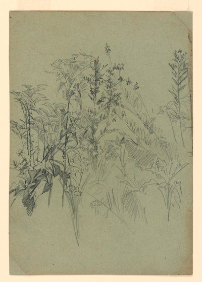 Undersøgelse af løv af William Trost Richards