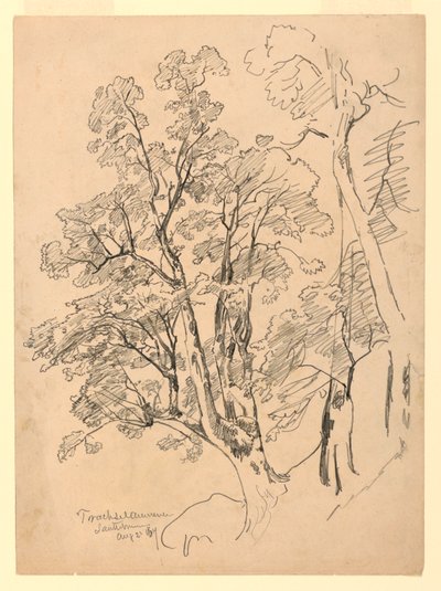 Undersøgelse af løv, Trachselwald, Bern, Schweiz af William Trost Richards