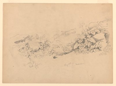 Undersøgelse af løv, Trachselwald, Bern, Schweiz af William Trost Richards