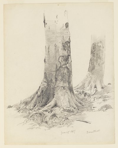 Træstammer, Darmstadt af William Trost Richards