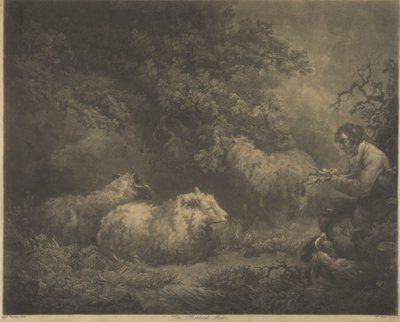 Hyrde-drengen af William Ward