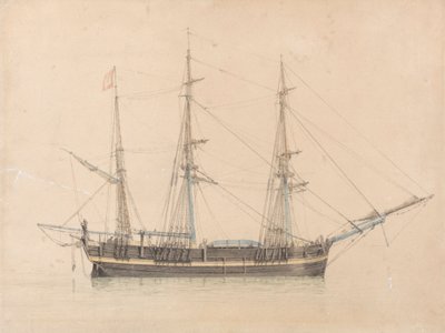 Hvalfangeren "Truelove" af Hull af William Ward
