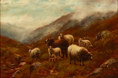 Highland Sheep On a Hillside (olie på lærred) af William Watson