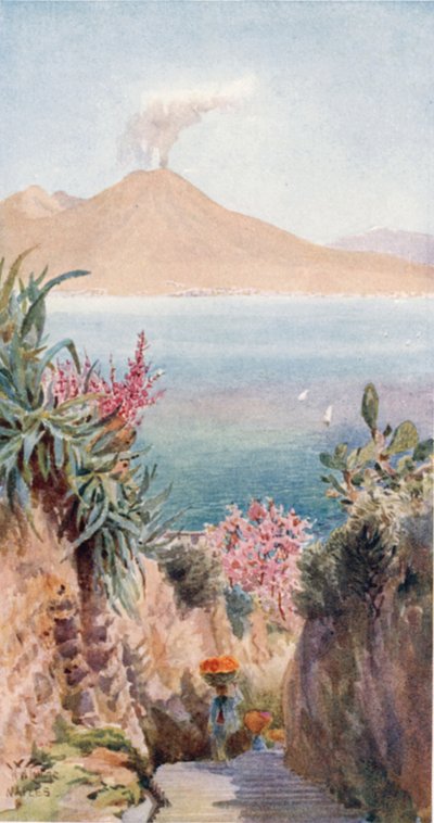 Posillipo. Napoli-bugten fra (farve litho) af William Wiehe Collins