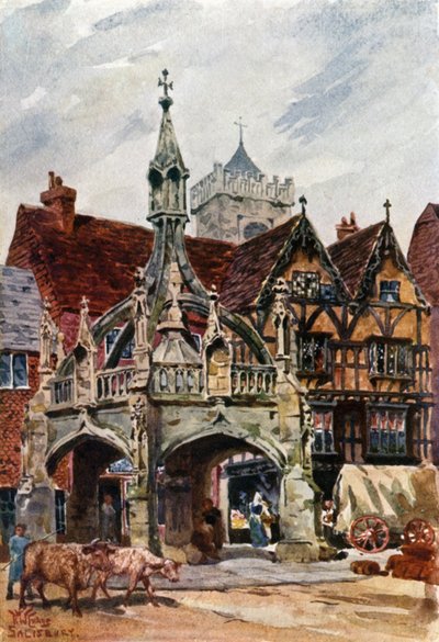 Salisbury, markedskorset (farve litho) af William Wiehe Collins
