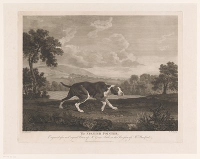 Spansk pointer i landskab Den spanske pointer (titel på objekt) af William Woollett