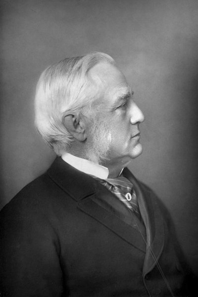 Professor Max Müller 1823-1900, tysk filolog og orientalist, 1893. af William and Daniel Downey