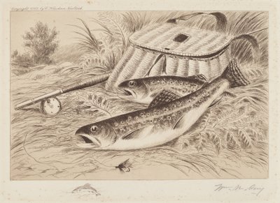 En god fangst af William de la Montagne Cary