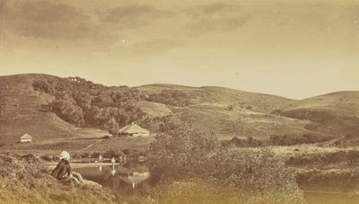 [Landscape View] af Willoughby Wallace Hooper