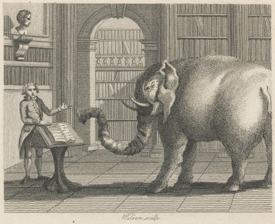 Elefanten og Boghandleren af Wilson