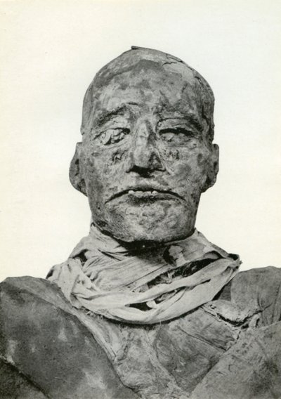 Leder af Rameses III