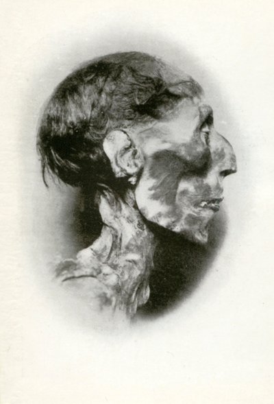 Leder af Ramses II