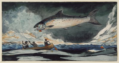 En god pool, Saguenay-floden af Winslow Homer