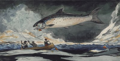 En god pool, Saguenay-floden, 1895 af Winslow Homer