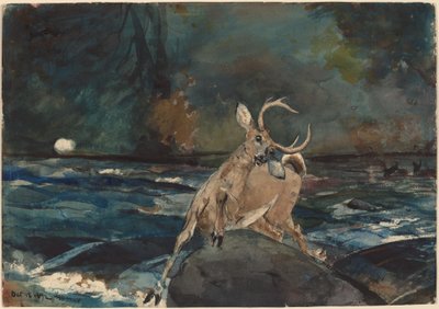 Et godt skud, Adirondacks, 1892. af Winslow Homer
