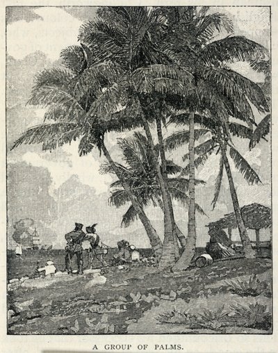 En gruppe palmer, fra The Century Magazine, februar 1887 af Winslow Homer