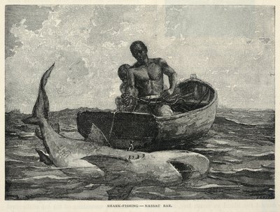 En kræmmer, en Nassau Gateway, hajfiskeri - Nassau Bar, fra The Century Magazine, februar 1887 af Winslow Homer