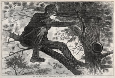  af Winslow Homer