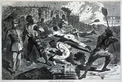  af Winslow Homer