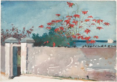En mur, Nassau af Winslow Homer