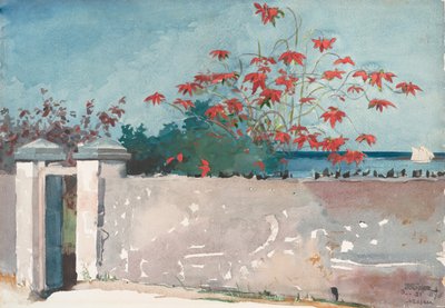 En mur, Nassau, 1898. af Winslow Homer
